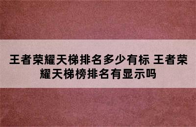 王者荣耀天梯排名多少有标 王者荣耀天梯榜排名有显示吗